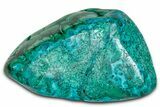Vibrant Polished Malachite with Chrysocolla - DR Congo #336835-1
